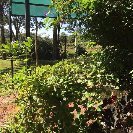 Iguazu Apart Hostel Puerto Iguazu Exterior photo